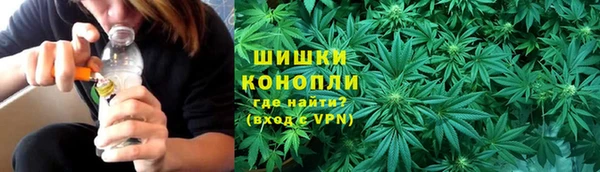 PSILOCYBIN Бородино